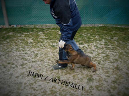 Jimii z Arthemilly 