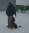 video obedience DIXIE Z ARTHEMILLY