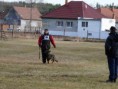 /album/fotogaleria/p1290992-jpg/